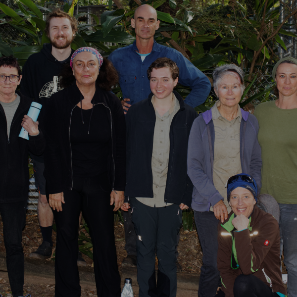 Community Engagement and Advocacy